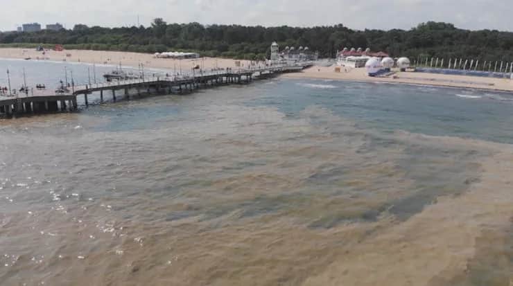 Dlaczego Bałtyk jest zanieczyszczony? Oto szokujące przyczyny