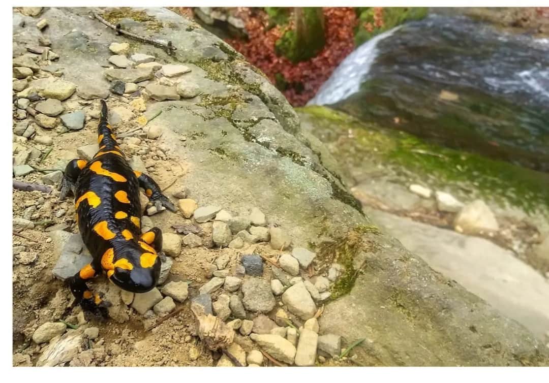 Bystra atrakcje: odkryj ukryte skarby i piękne szlaki turystyczne