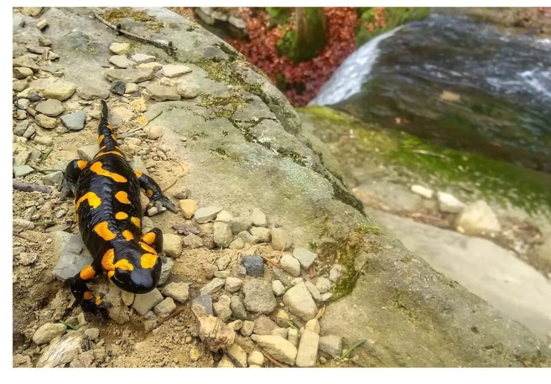 Bystra atrakcje: odkryj ukryte skarby i piękne szlaki turystyczne