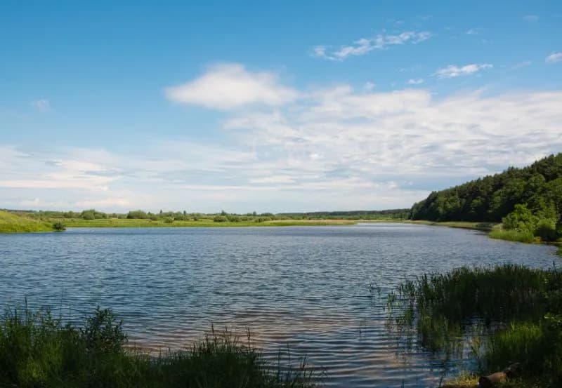Dzielnica i jezioro w Szczecinie: Odkryj ukryte skarby Dąbia