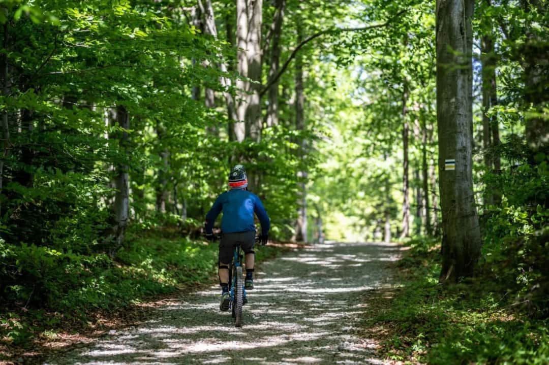 Co oznacza żółty szlak w górach i dlaczego warto go znać?