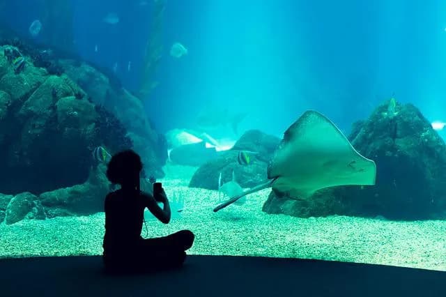 Najlepsze atrakcje w ZOO Wrocław: co warto zobaczyć i przeżyć