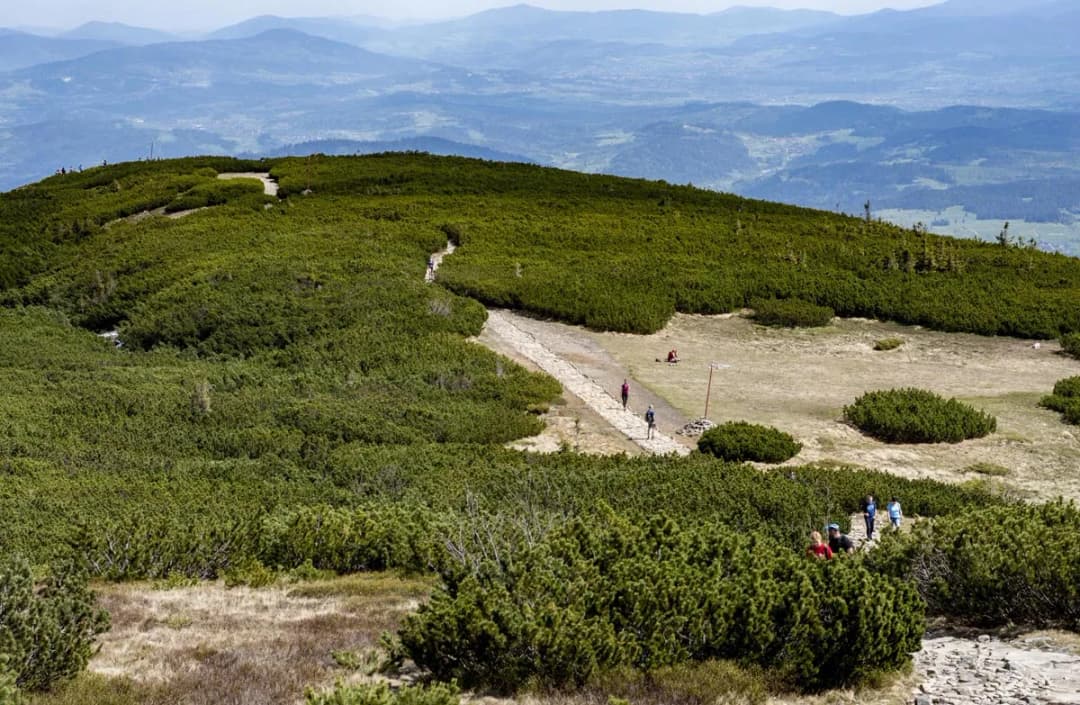 Najładniejszy szlak na Babią Górę – odkryj piękno Beskidów