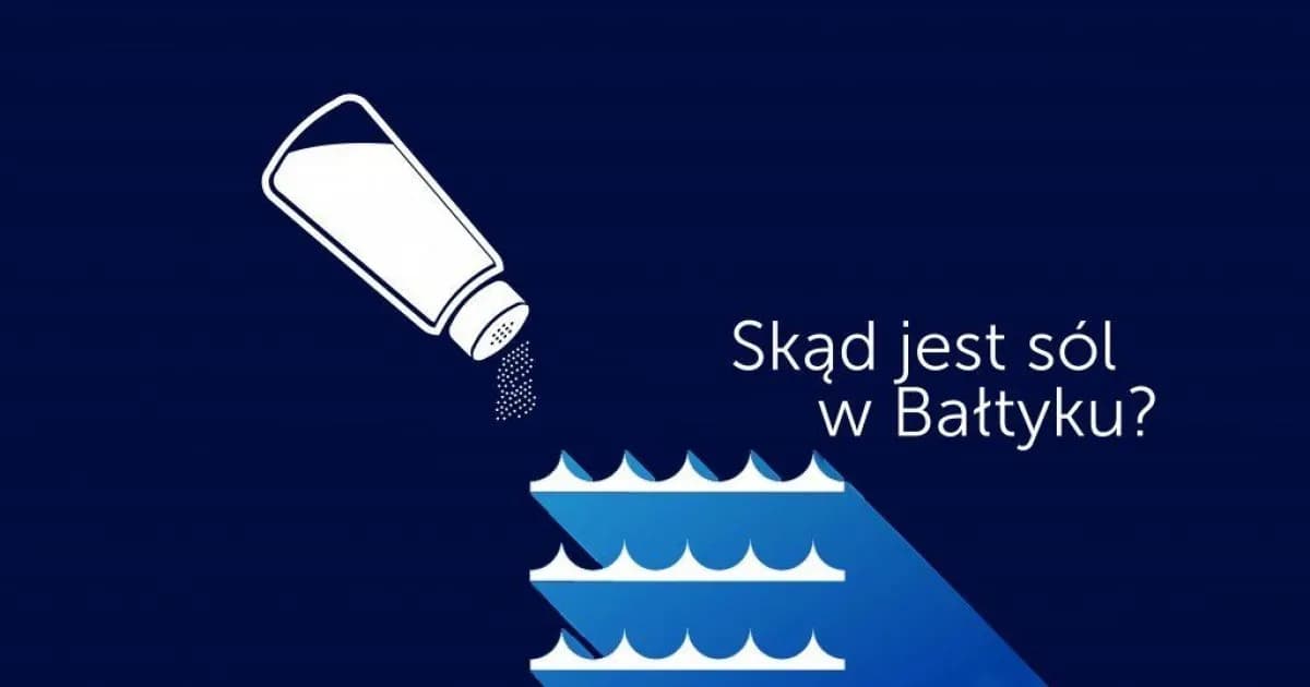 Dlaczego Bałtyk jest słony? Odkryj zaskakujące przyczyny tej słoności
