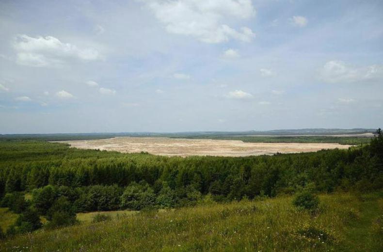 Projekt ochrony srodowiska - pustynia Bledowska